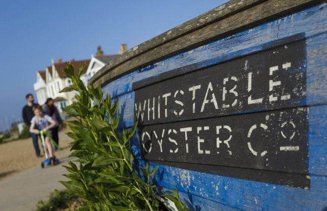 The Studio - Oxford Street Whitstable - Foto 14