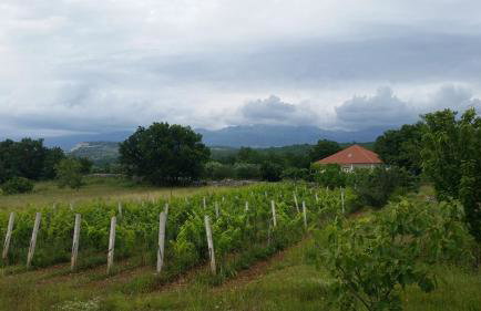 Holiday house Tunjarice - Foto 24