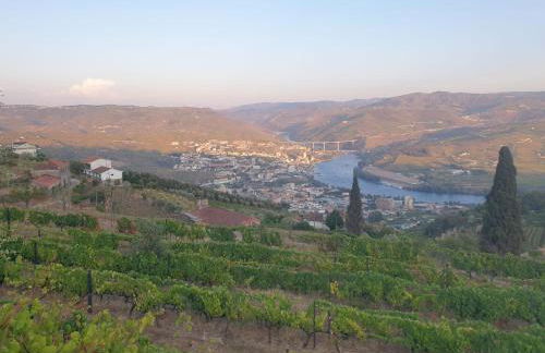 Quinta de Sobre a Fonte Charming Apartments - traditional winery - Foto 71