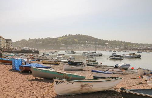 Sea Thrift - Photo 18