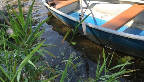 Gästehaus zum Stricker, Eckweg 9 - Foto 2