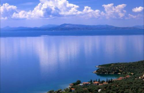 Almira Kalamos - Foto 41