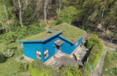 Das Blaue Haus - Foto 3