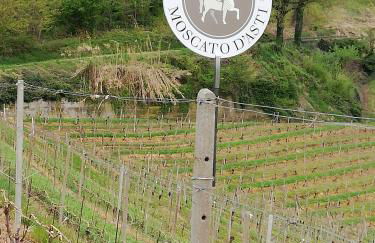 La Giribaldina Winery & Farmhouse - Foto 40