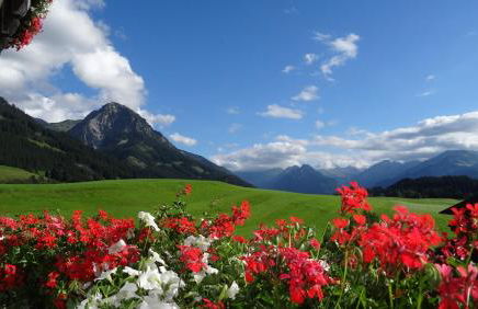 Ferienwohnungen Rotzler - Foto 36