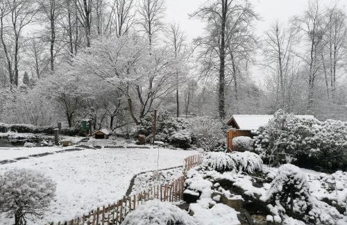 Ferienwohnungen an der Hufeland-Therme - Foto 42