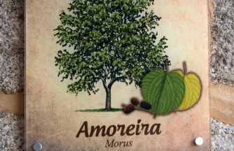 Moinhos do Pisão - Foto 34