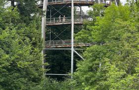 Villa Barka - Foto 55