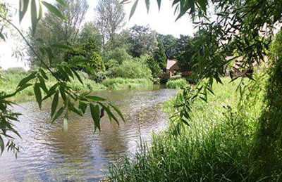 Wensum View Cottage - Foto 10