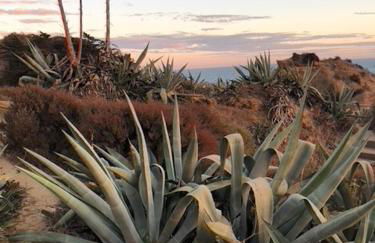 magnifique appartement sur la plage ... - Foto 44