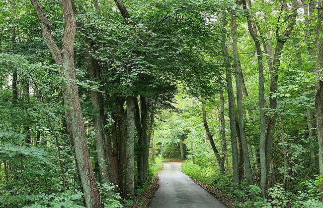 6 Person Holiday Home in Slagelse-by Traum - Foto 9