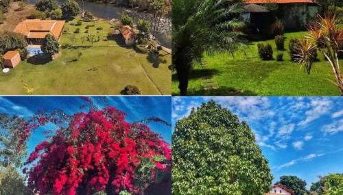 Chacara beira rio - Foto 2