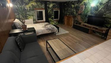 Jungle studio - Foto 3