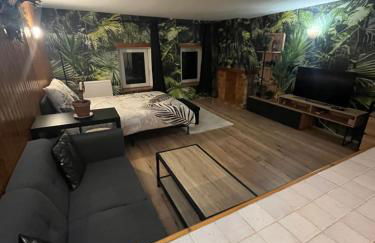 Jungle studio - Foto 3