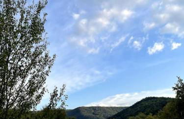 La Casella Antico Feudo di Campagna - Foto 81