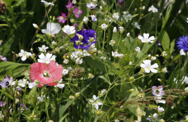 Ferienhof Stärk - Foto 20