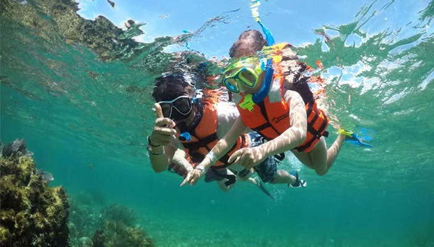Snorkelling