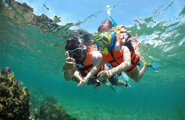 Tortuga Island Shore Excursion - Photo 4