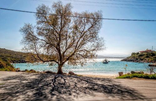 Myrtia Beach House - Foto 50