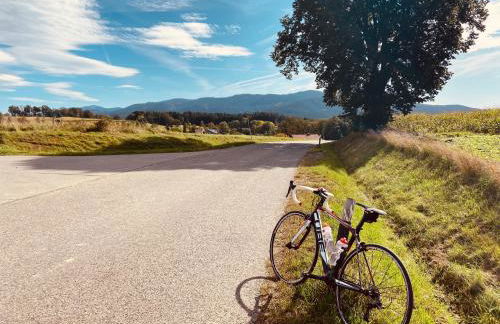 Haus Sonnenblick - Foto 14