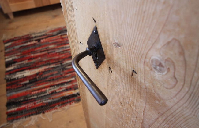 Ferienwohnungen am Berg - Almhütte Alfen - Foto 3