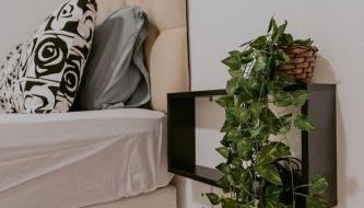 Stúdio Acolhedor Próximo ao Aeroporto - Foto 4