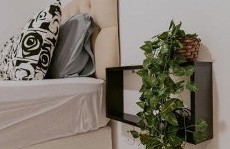 Stúdio Acolhedor Próximo ao Aeroporto - Foto 4