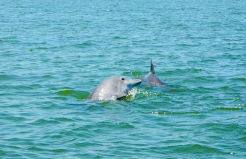 Pet Friendly Tranquil Cottage with Fire-Pit & Hot Tub Minutes to BEACHES - Foto 40