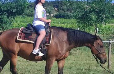 Golden Valley apartment & ranch - Foto 30