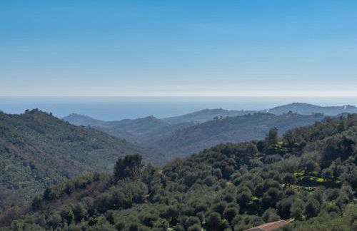 Apartment Azzurro by Interhome - Foto 4