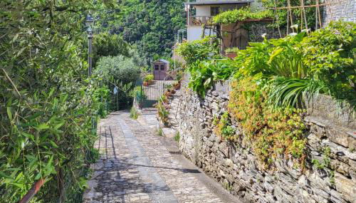 Zoagli Dream - Foto 5