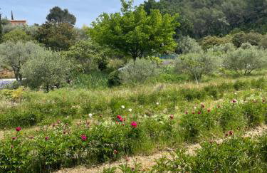 Hébergement à la campagne - Foto 16