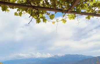 Village house with a nice garden - Foto 11