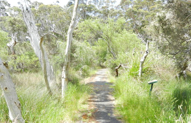Walpole Rest Point Caravan Park - Foto 51