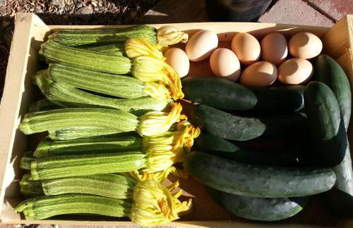 Agriturismo Antico Loggiato - Foto 27