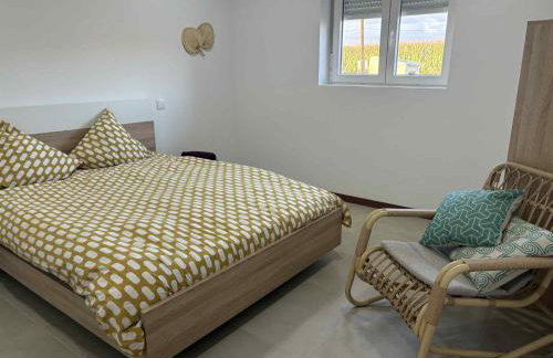 Bem estar 3 - Foto 12