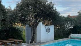 Villa de charme avec piscine 5 min d'Avignon - Photo 2