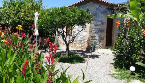 Stoupa's Paradise - Foto 2, Garden