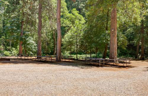 Community Lake Access Peaceful Cabin in Sonora! - Photo 32