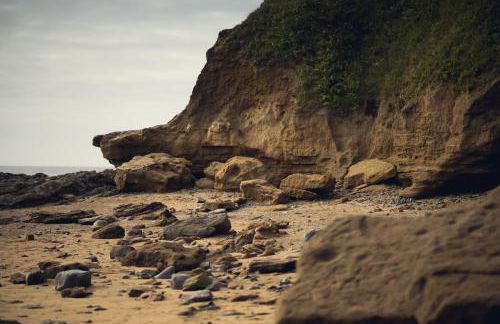 Springfield Linney - Foto 22