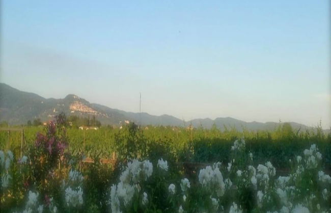 Holiday Home in Cortona With Pool - Foto 25