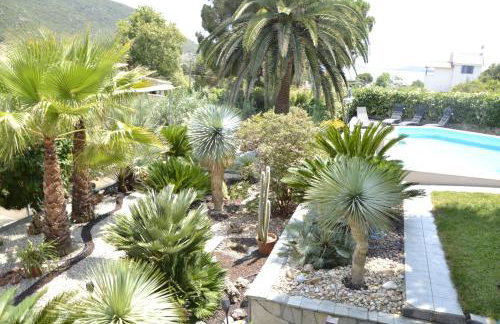 Monica's Tropical Villa - Foto 13