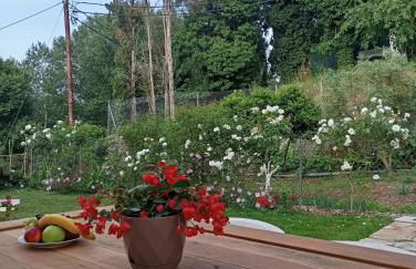 Venetton Garden House Corfu - Photo 42