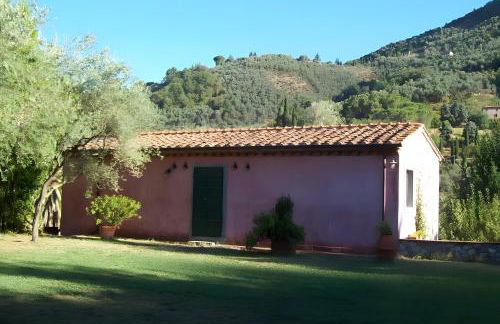 Villa con parco e piscina-Camaiore - Foto 22