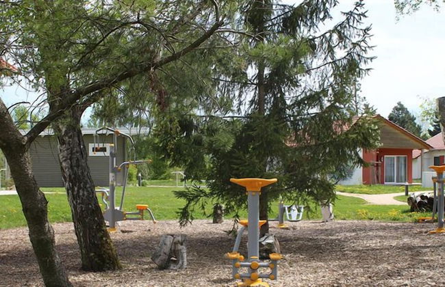 WaldResort - Am Nationalpark Hainich - Foto 26