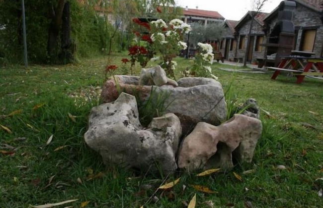 Posadas De Granadilla - Photo 41