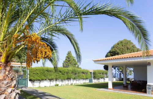 Finca La Vizcondesa - Foto 10