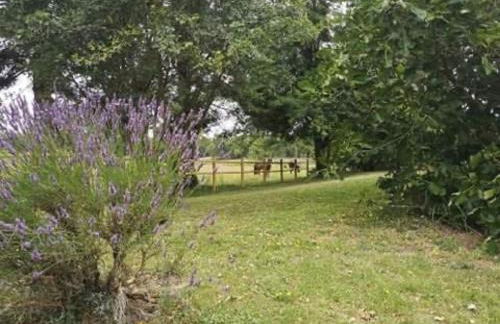 Évasion champêtre : Maison avec piscine, tennis, et étang au cœur de 50 hectares de forêt - FR-1-410-307 - Photo 13