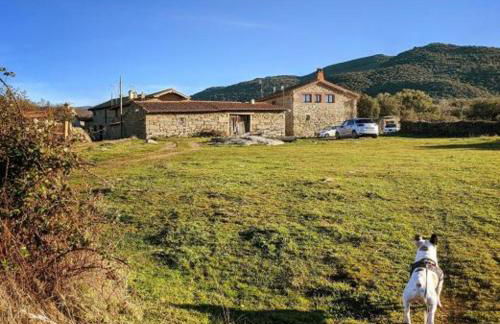 La Candileja - Foto 35