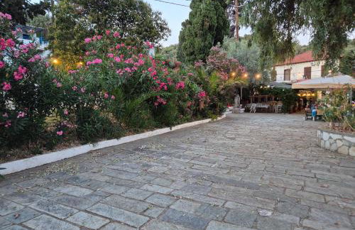 Trikeri Inn - Photo 53